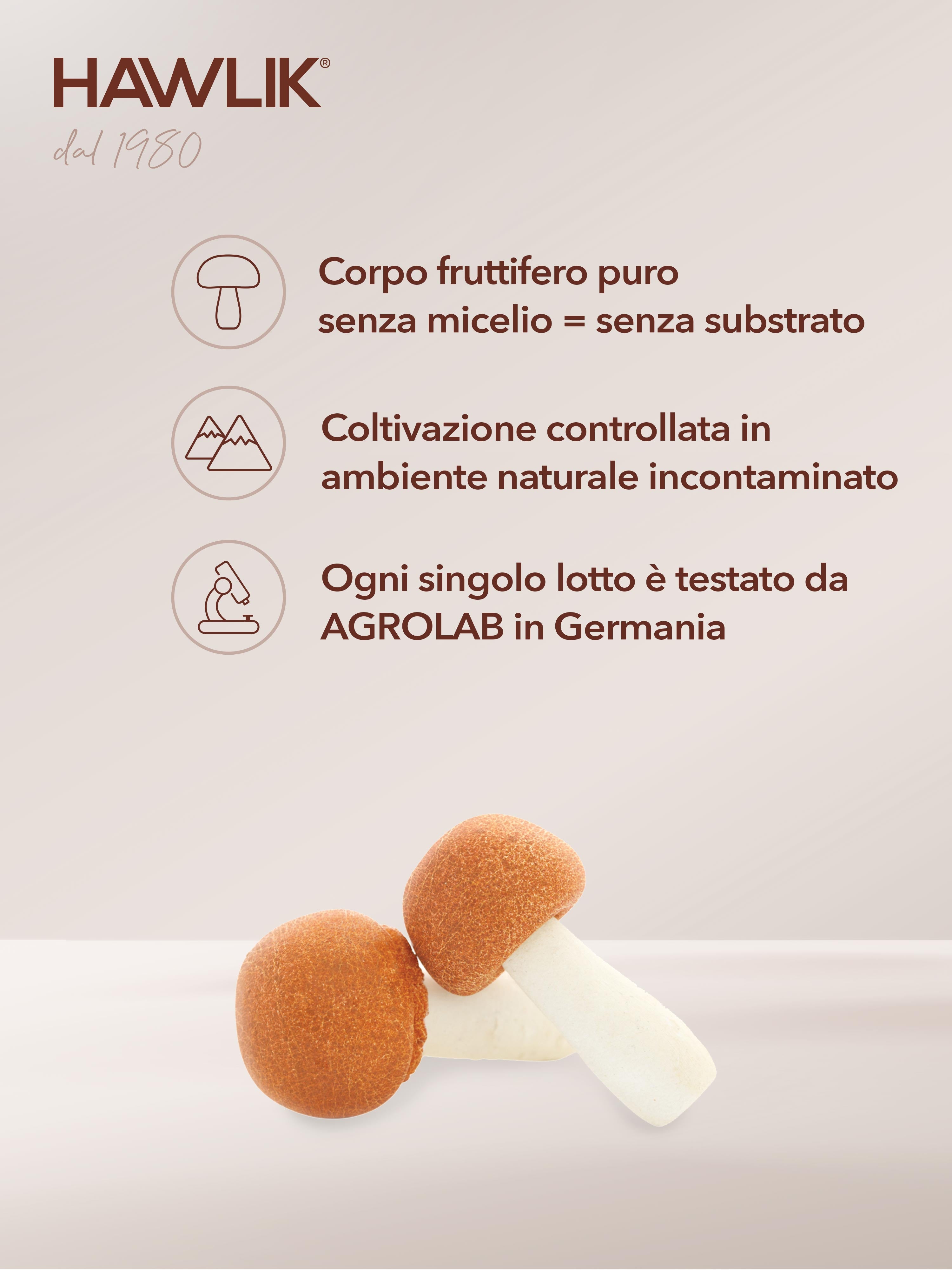 HAWLIK polvere di agaricus biologico