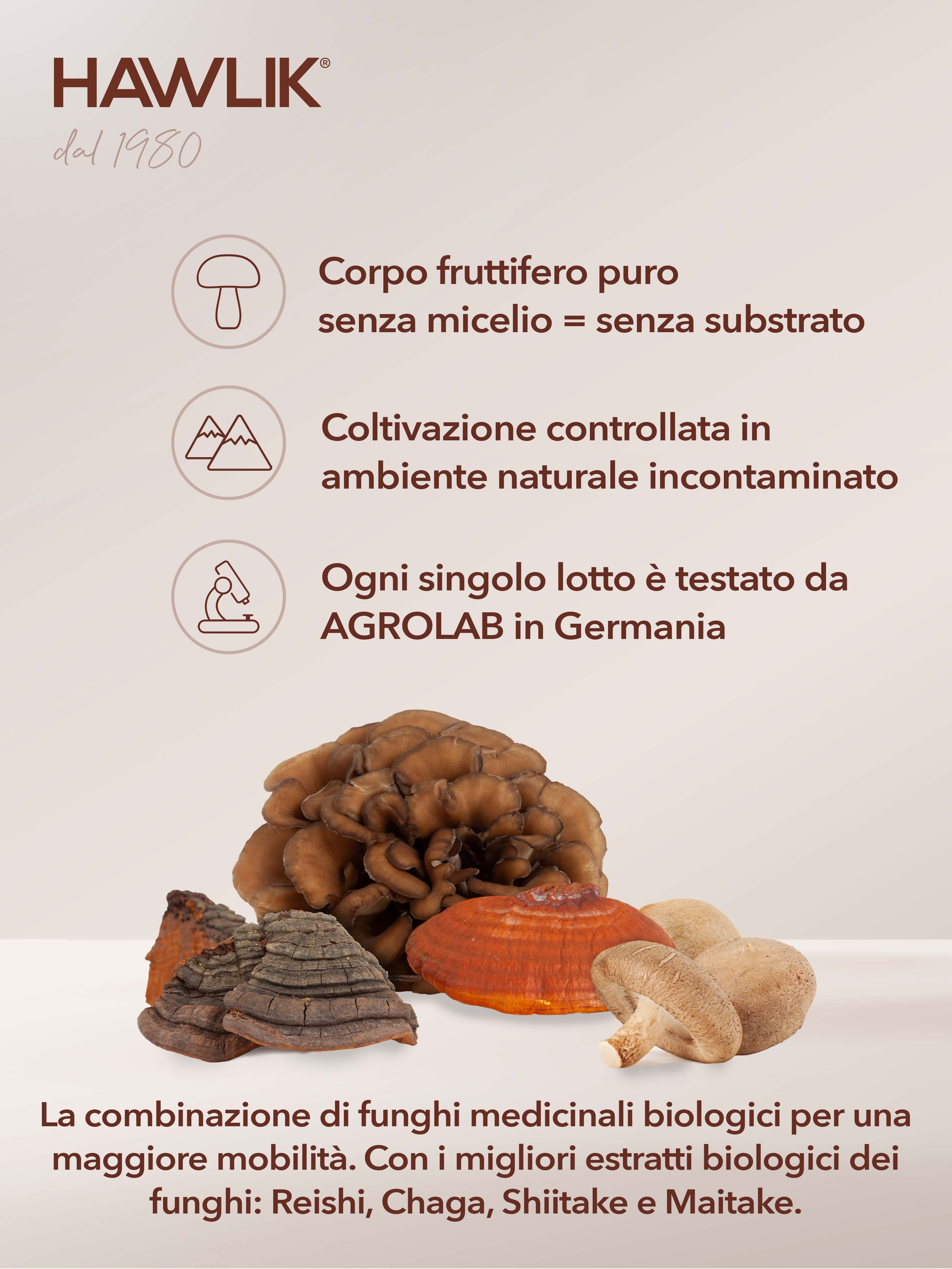 HAWIK Agilità miscela di funghi