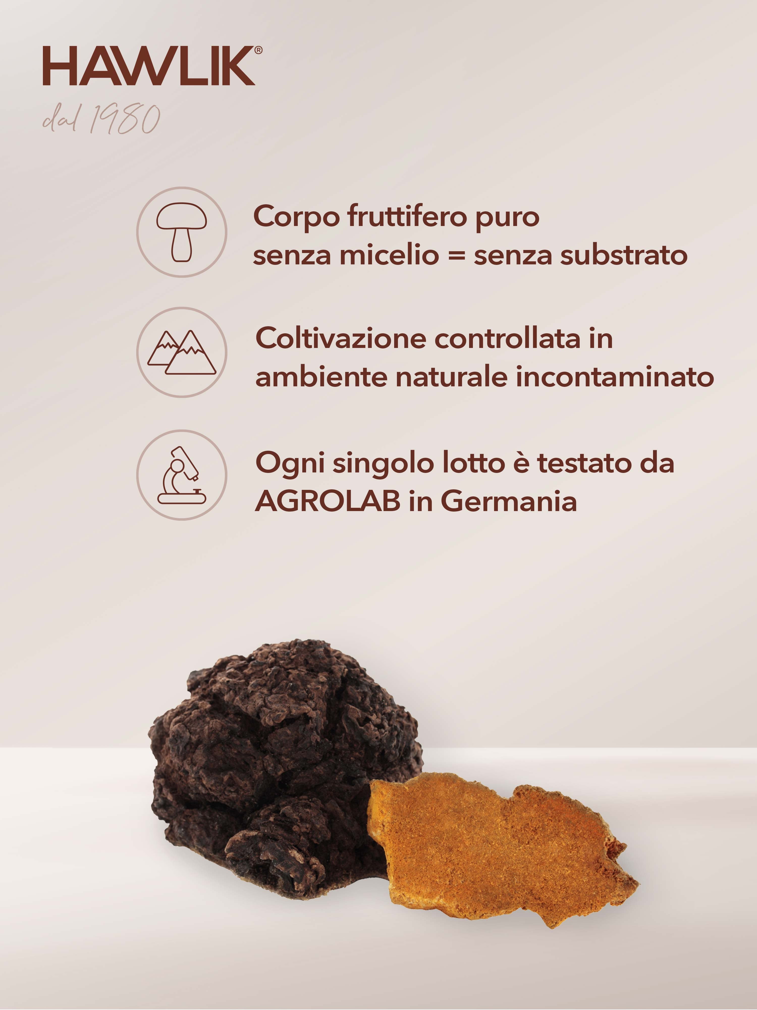 HAWLIK polvere di Chaga biologico