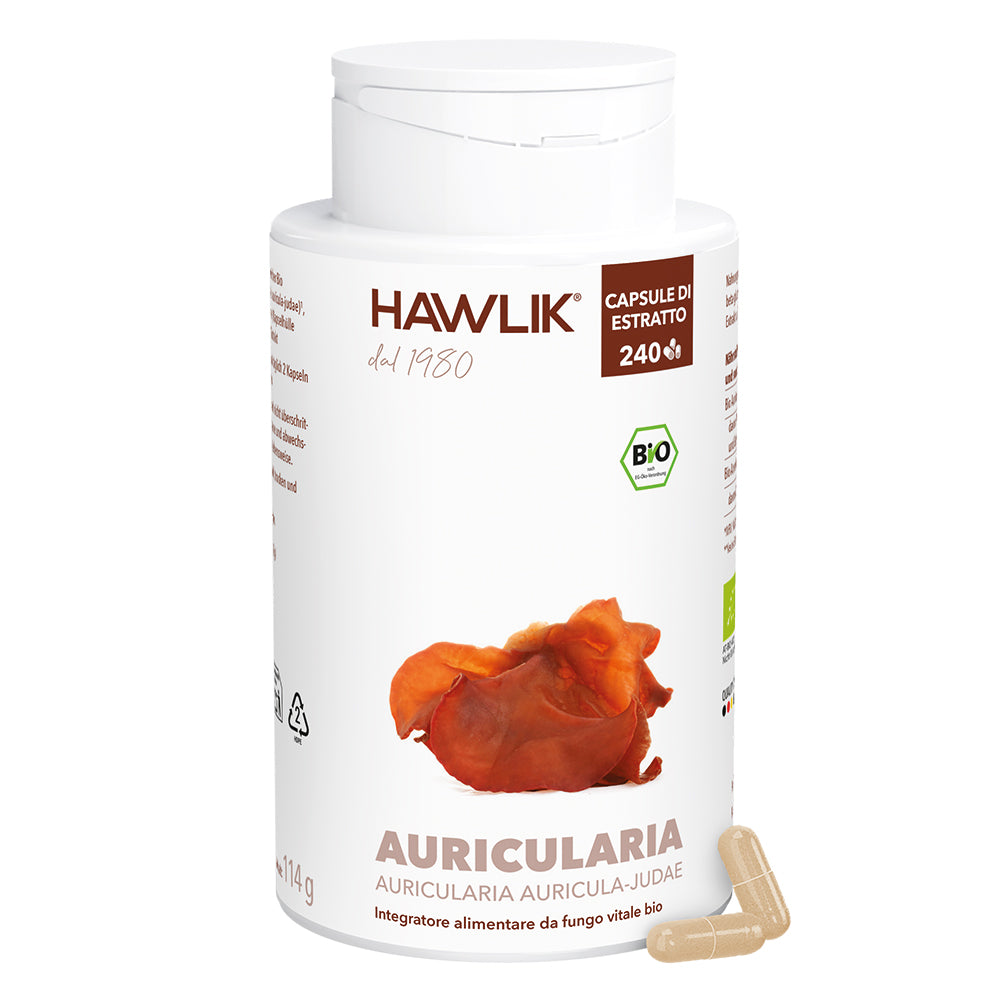 HAWLIK Auricularia biologico estratto in capsule