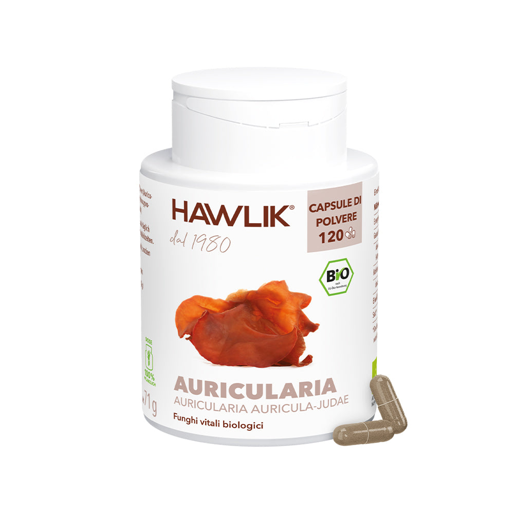 HAWLIK Auricularia biologico capsule in polvere