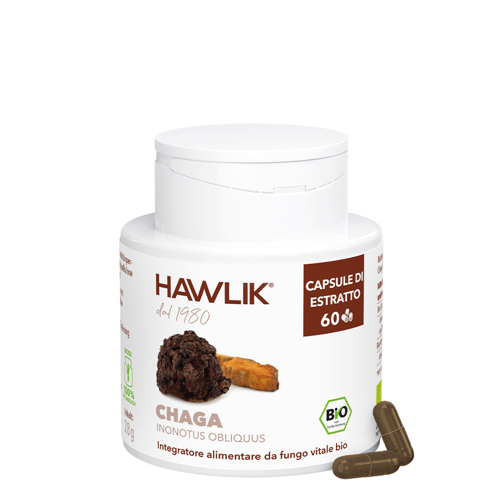 HAWLIK Chaga biologico estratto in capsule