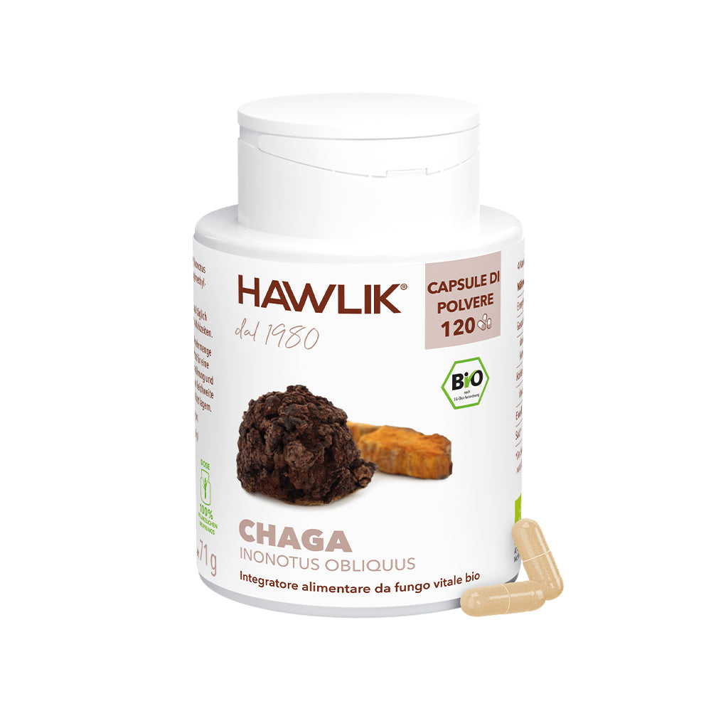 HAWLIK Chaga biologico capsule in polvere
