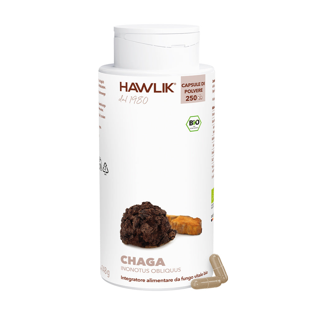 HAWLIK Chaga biologico capsule in polvere