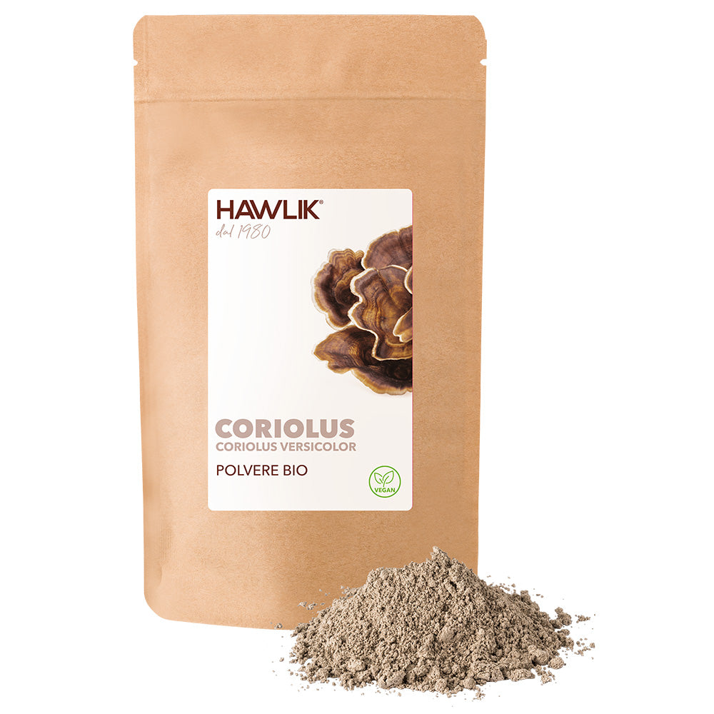 Funghi medicinali biologico Coriolus Polvere