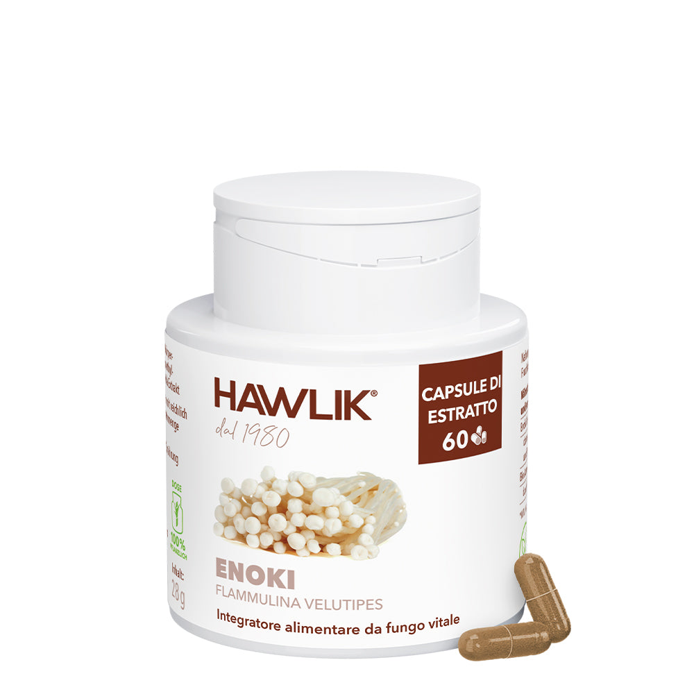 Funghi medicinali biologico enoki capsuleestratto