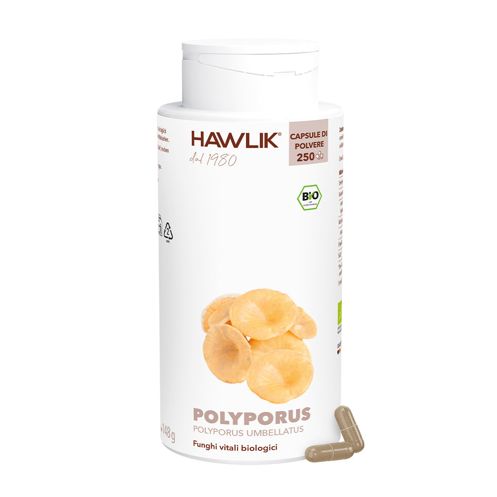 HAWLIK Polyporus biologico capsule in polvere