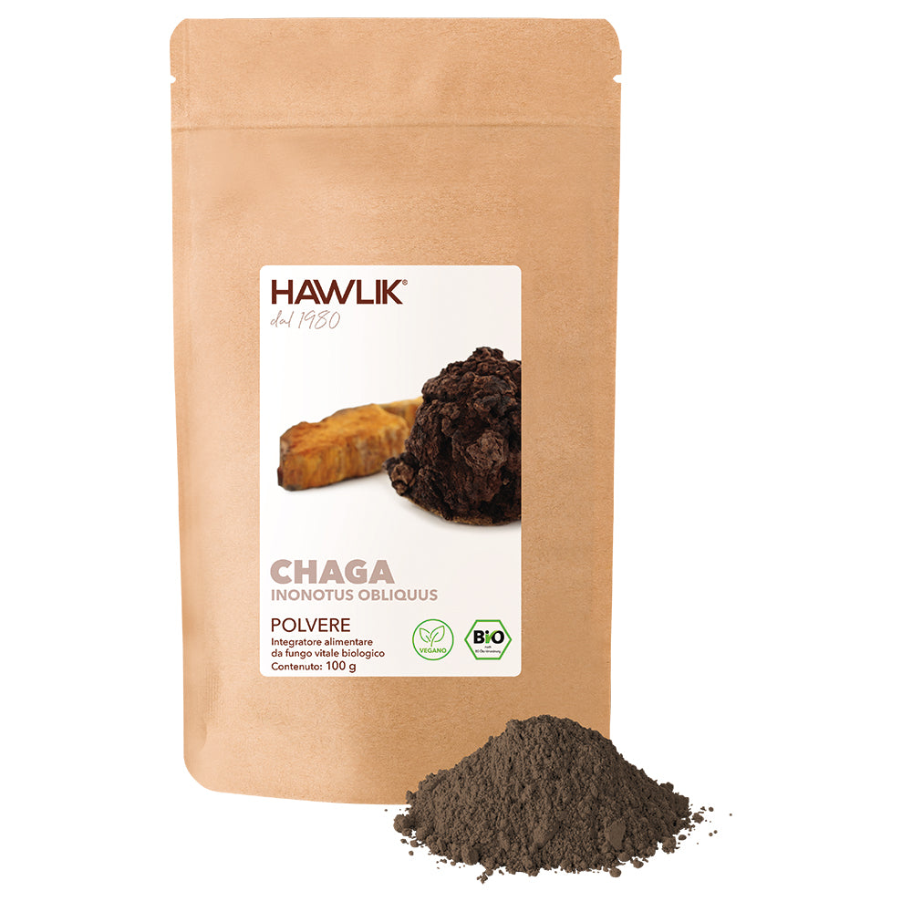 Chaga biologico in polvere