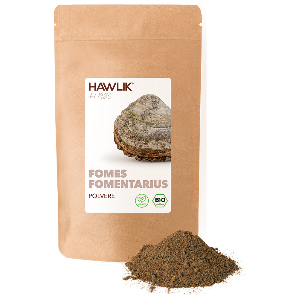 Hawlik Polvere di funghi medicinali biologici sfusa con mucchio di polvere