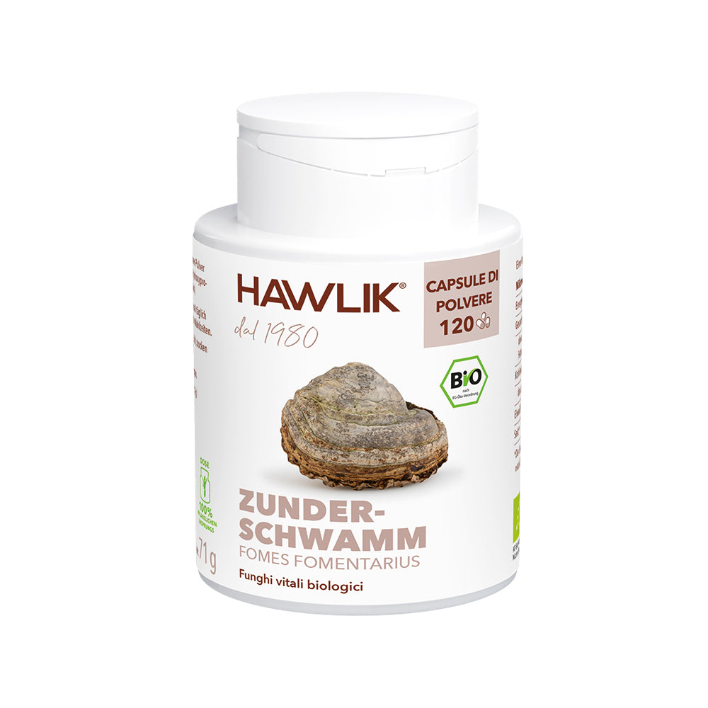 HAWLIK Fomes fomentarius biologico capsule in polvere