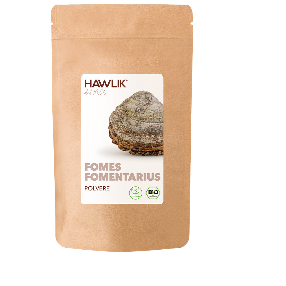 Confezione polvere di Fmes Fomentarius