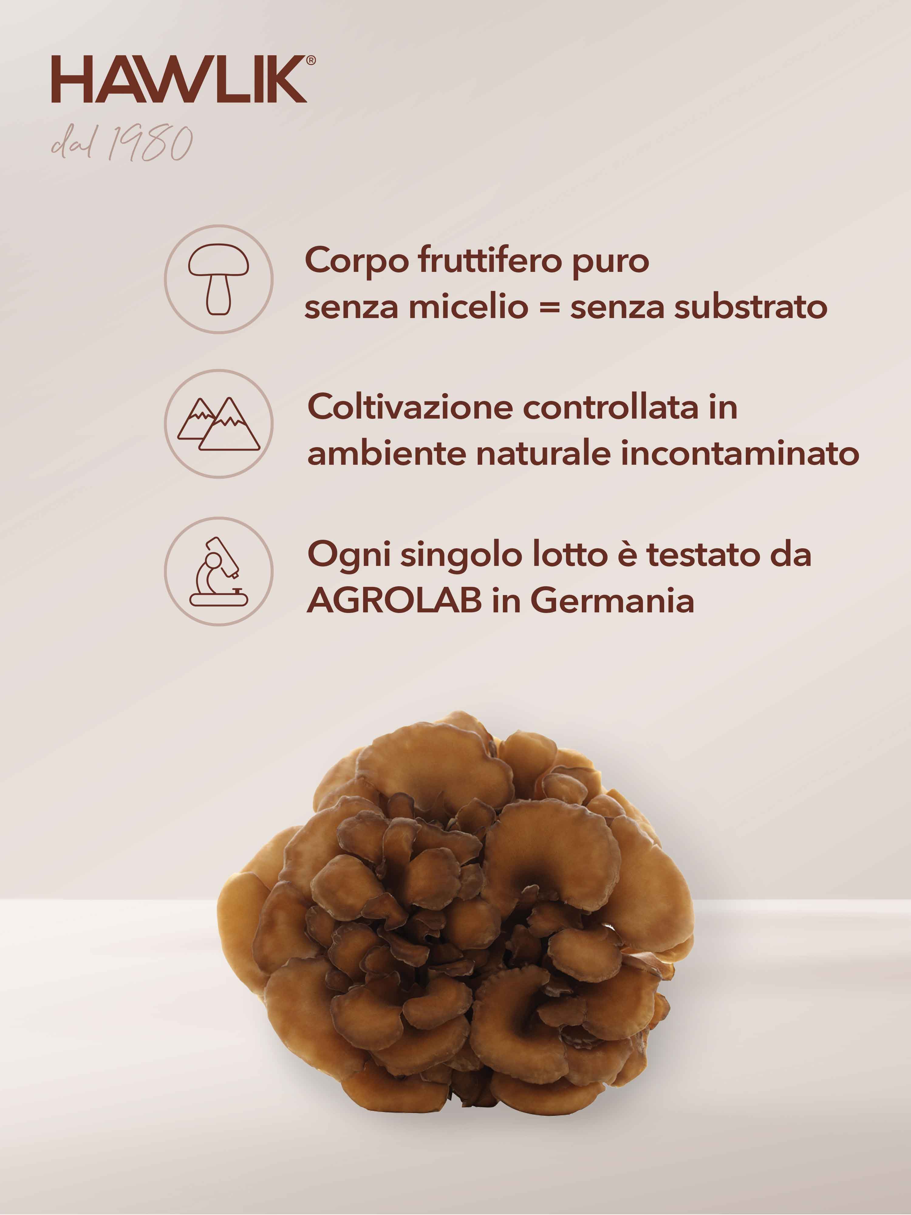 HAWLIK Maitake biologico estratto in capsule