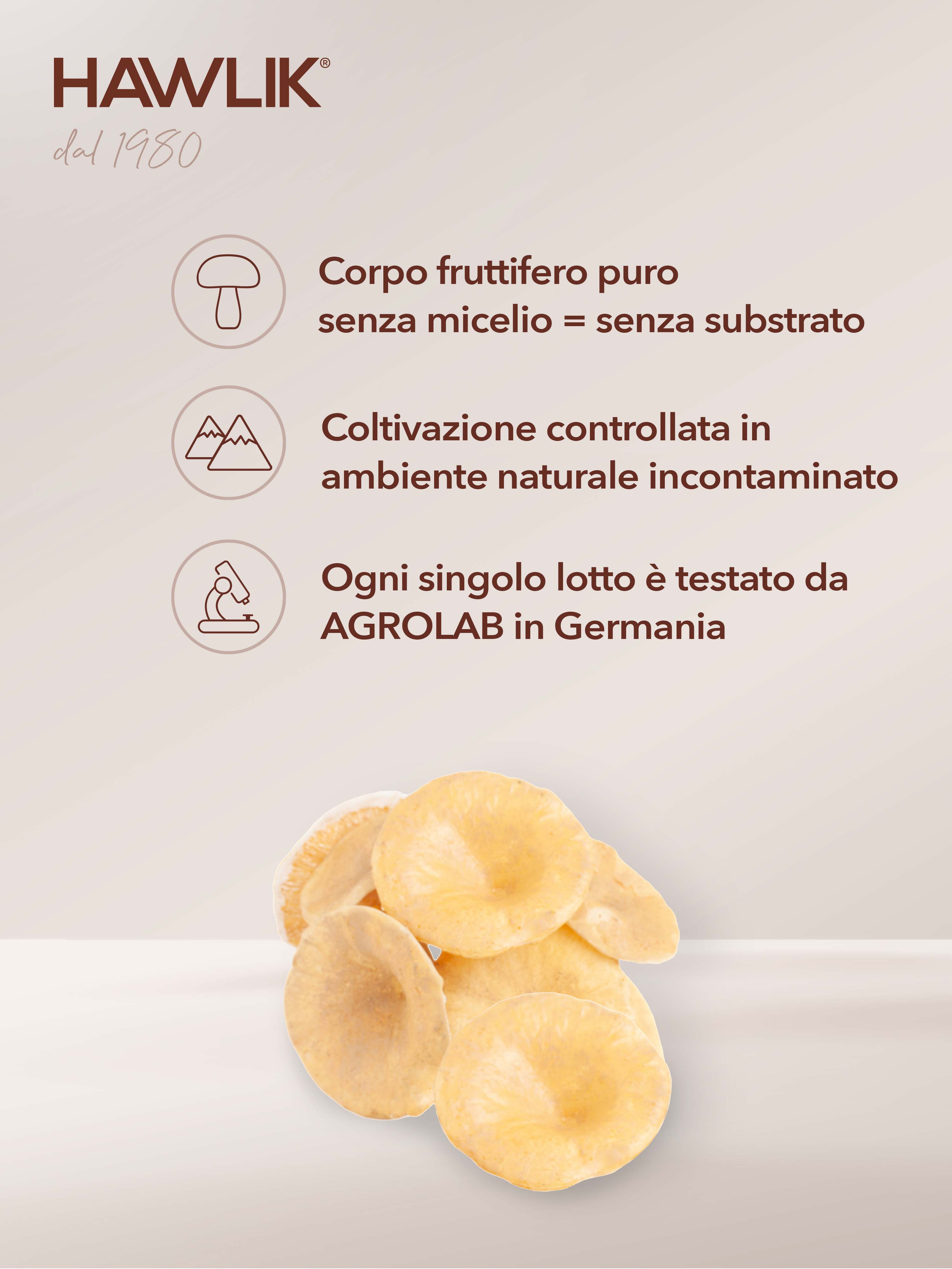 HAWLIK Polyporus biologico estratto in capsule