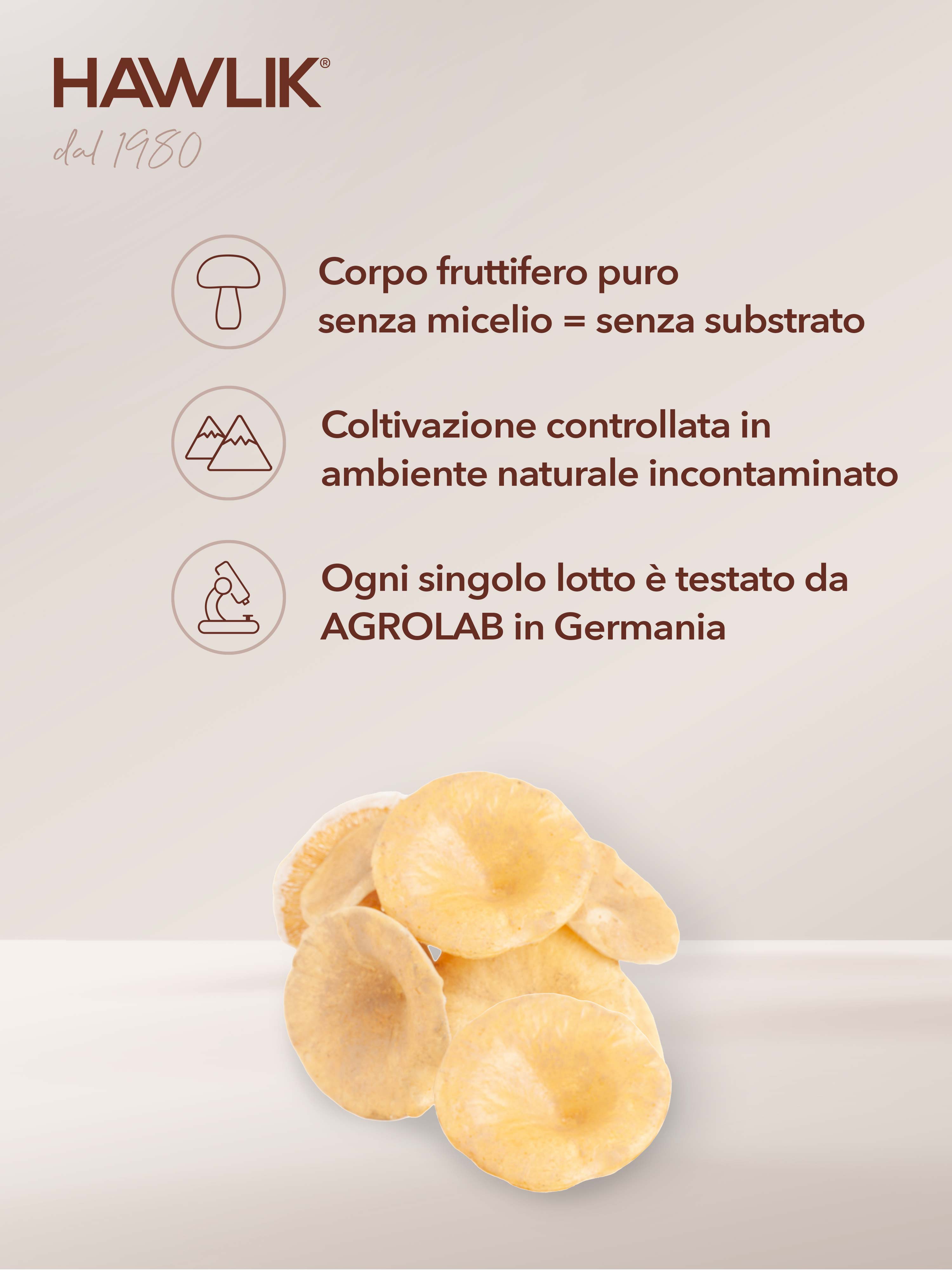 HAWLIK polvere di poliporo biologico