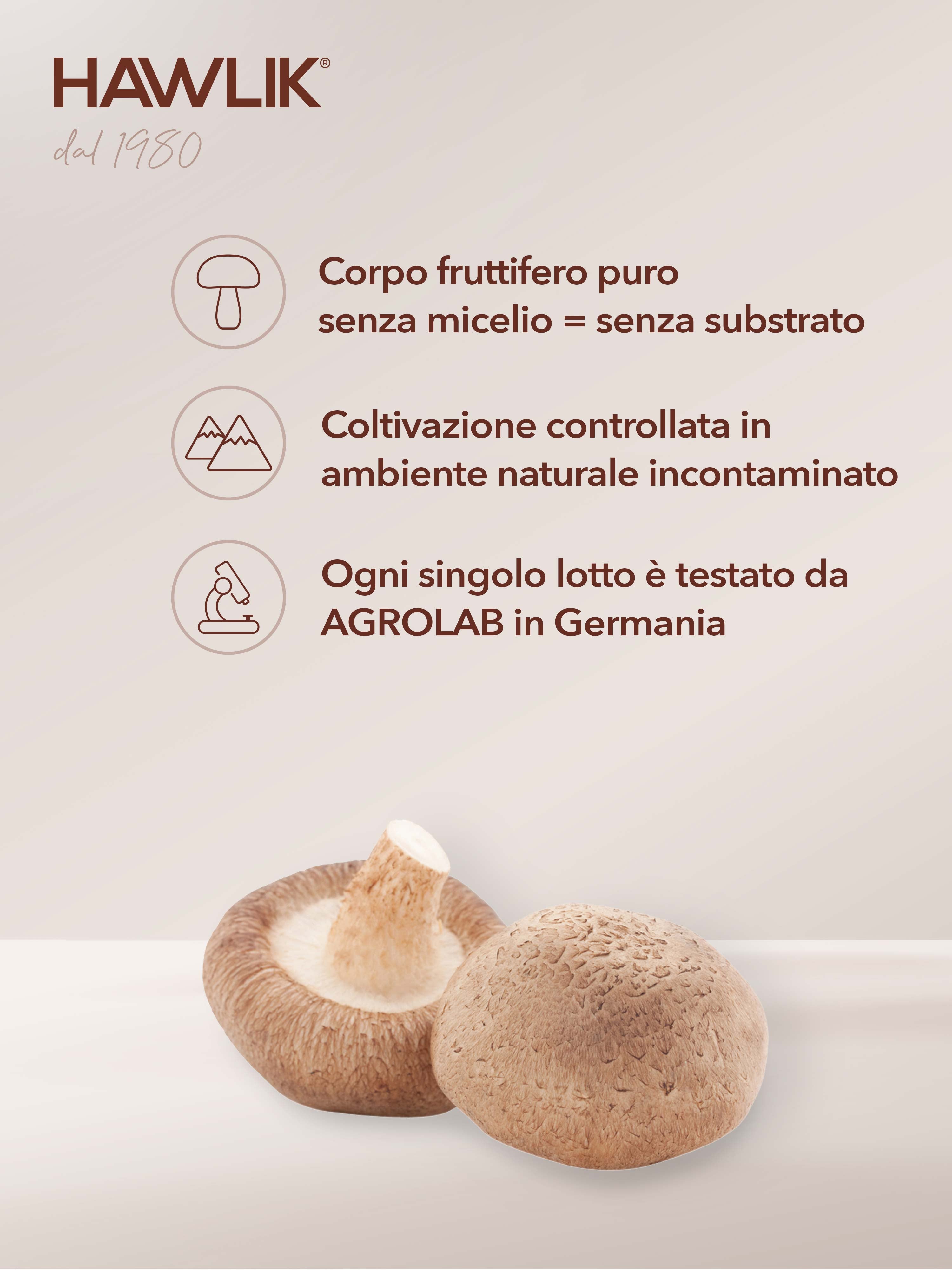 HAWLIK Shiitake biologico estratto + polvere in capsule
