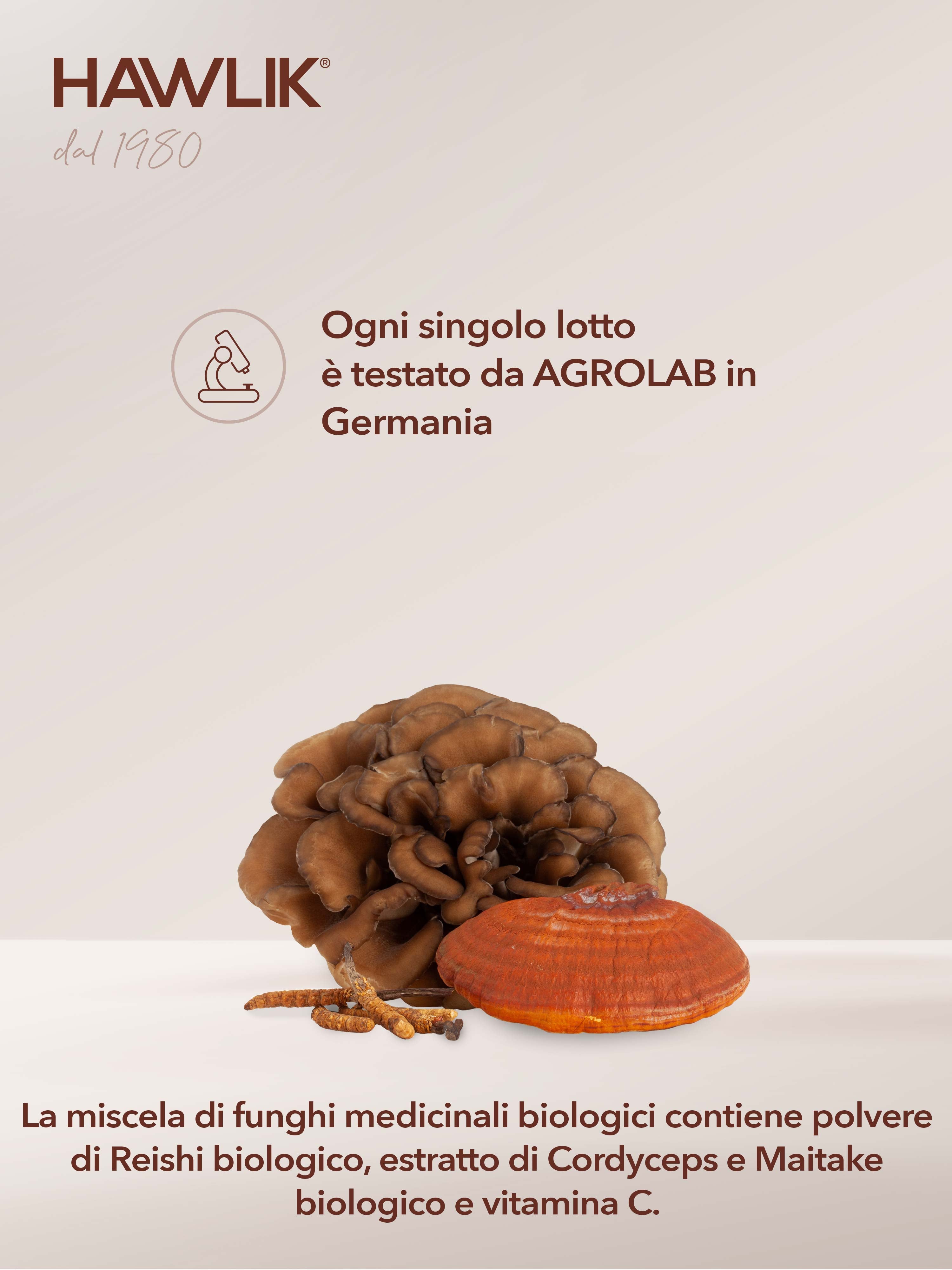 HAWLIK Sport+Energia miscela di funghi