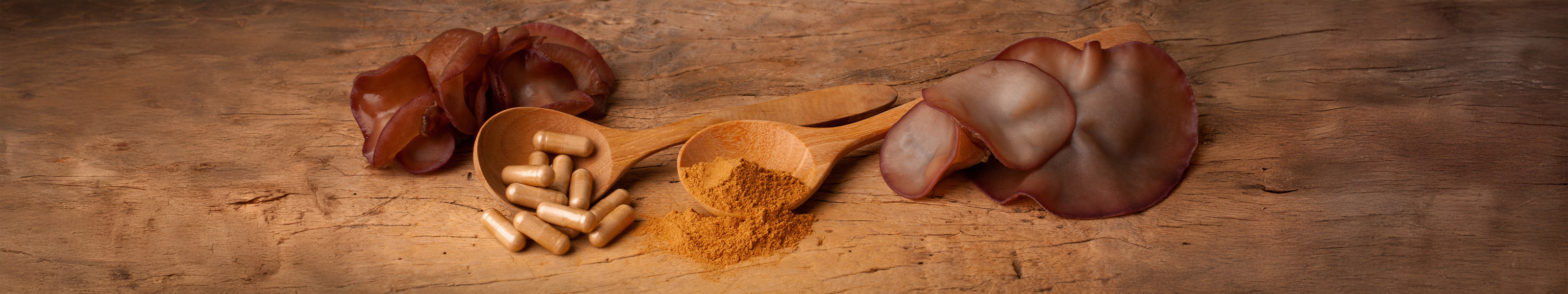 Vitalpilz Auricularia