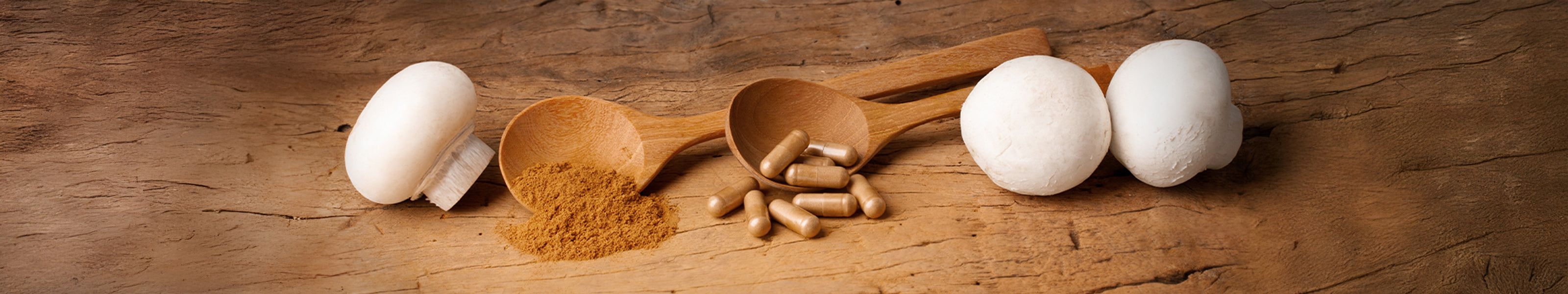 Vitalpilz Champignon