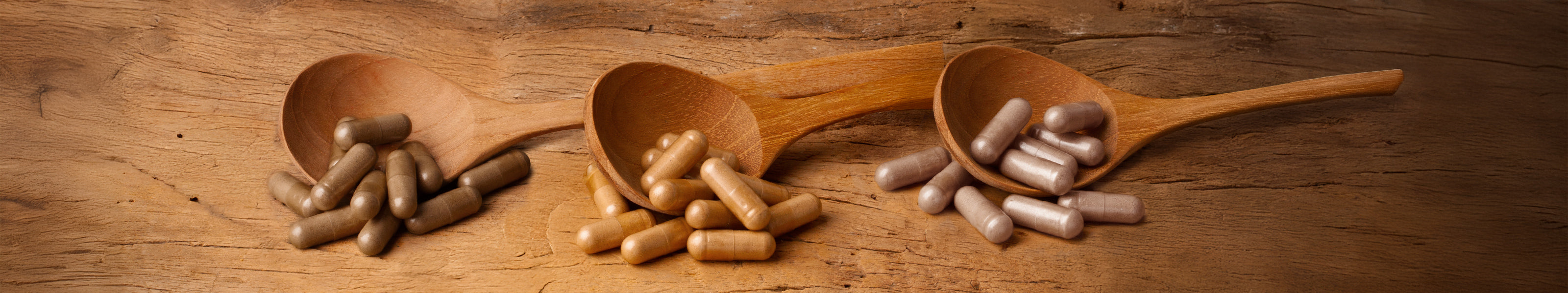 Polvere di funghi in capsule