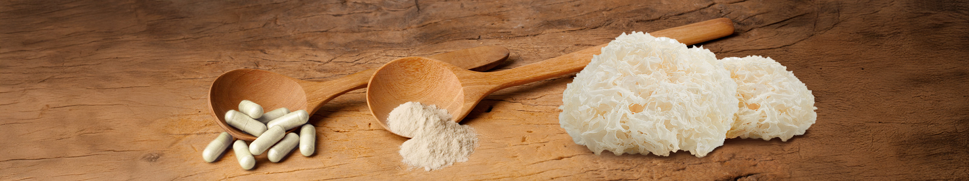 Funghi vitali Tremella