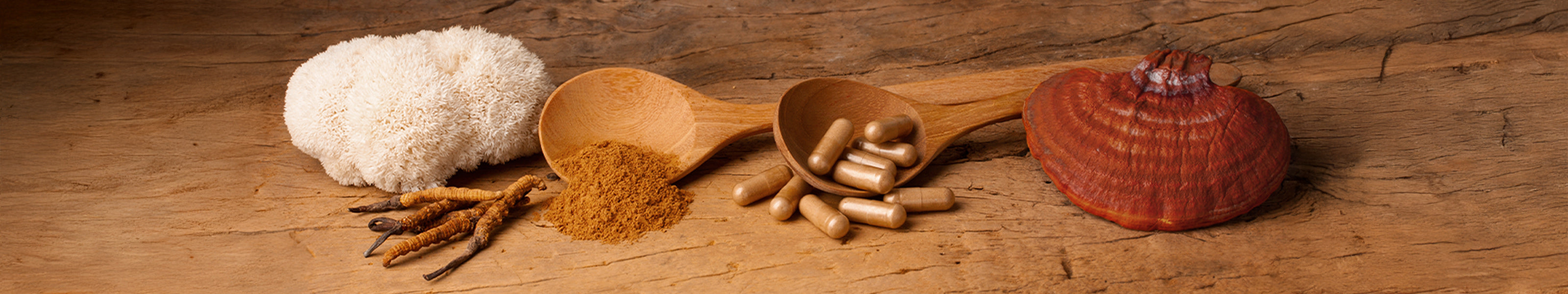 Vitalpilze Hericium, Reishi und Kapseln
