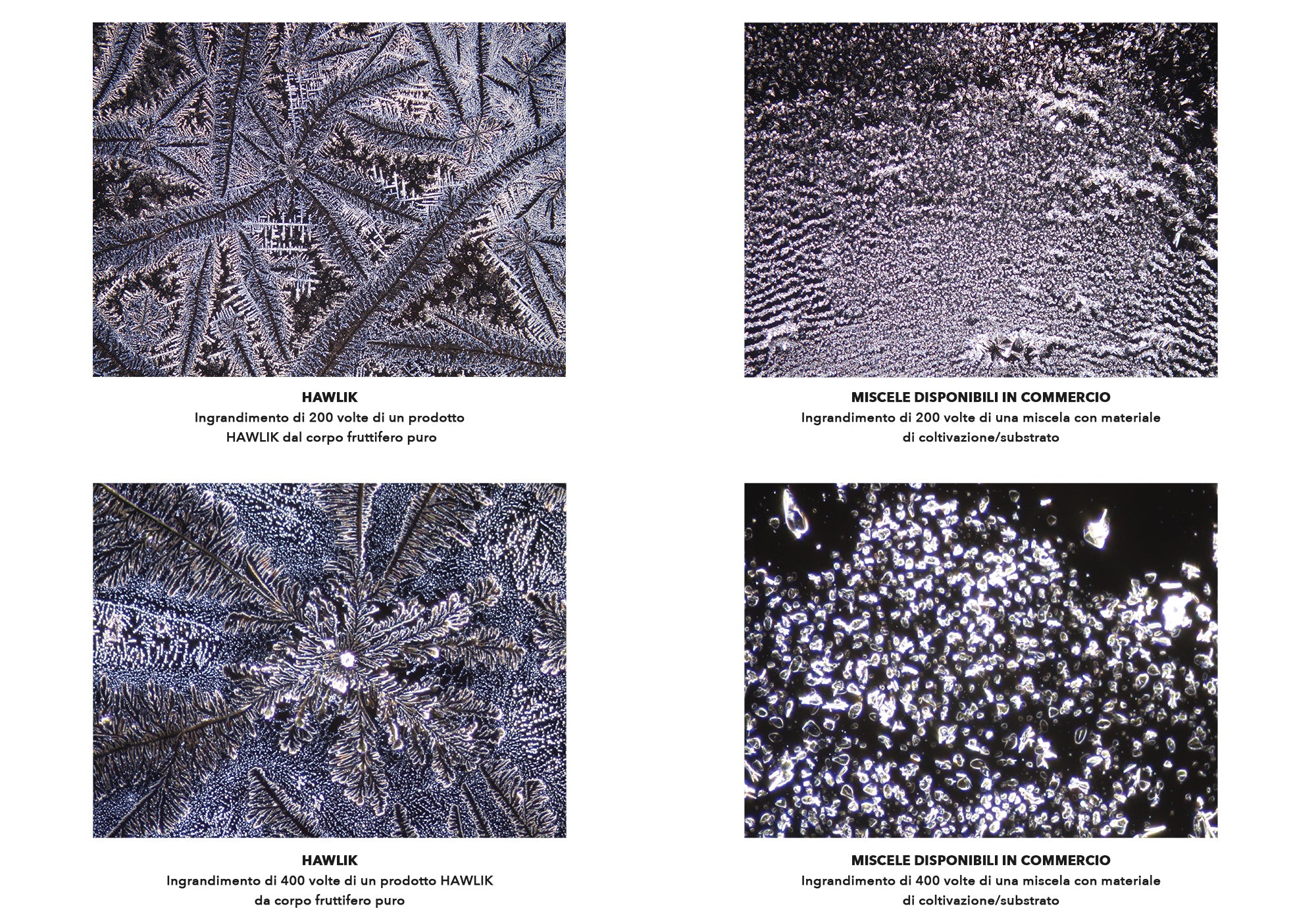 Immagini cristalline a confronto Hawlik e altri produttori