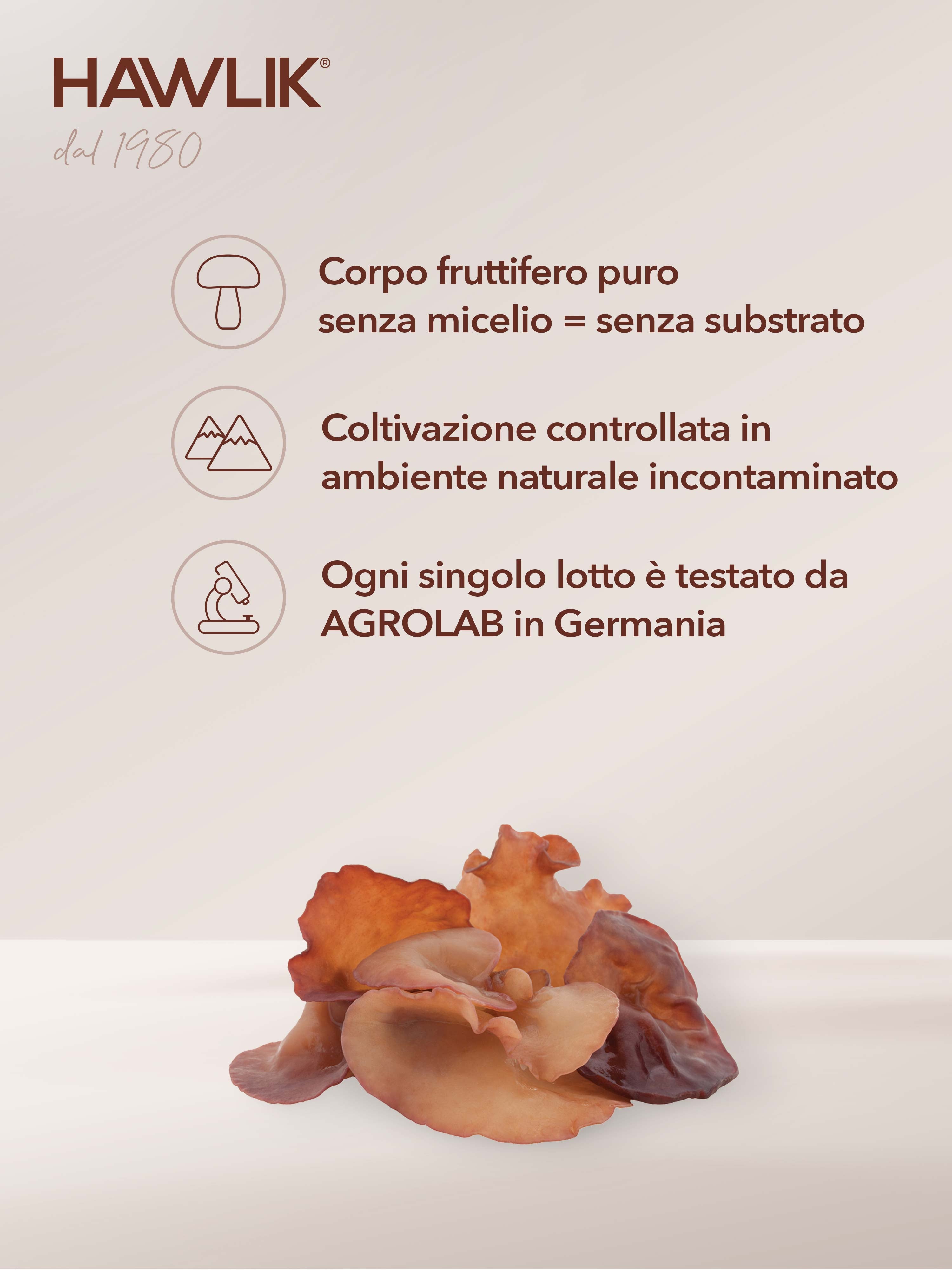 HAWLIK Auricularia biologico capsule in polvere