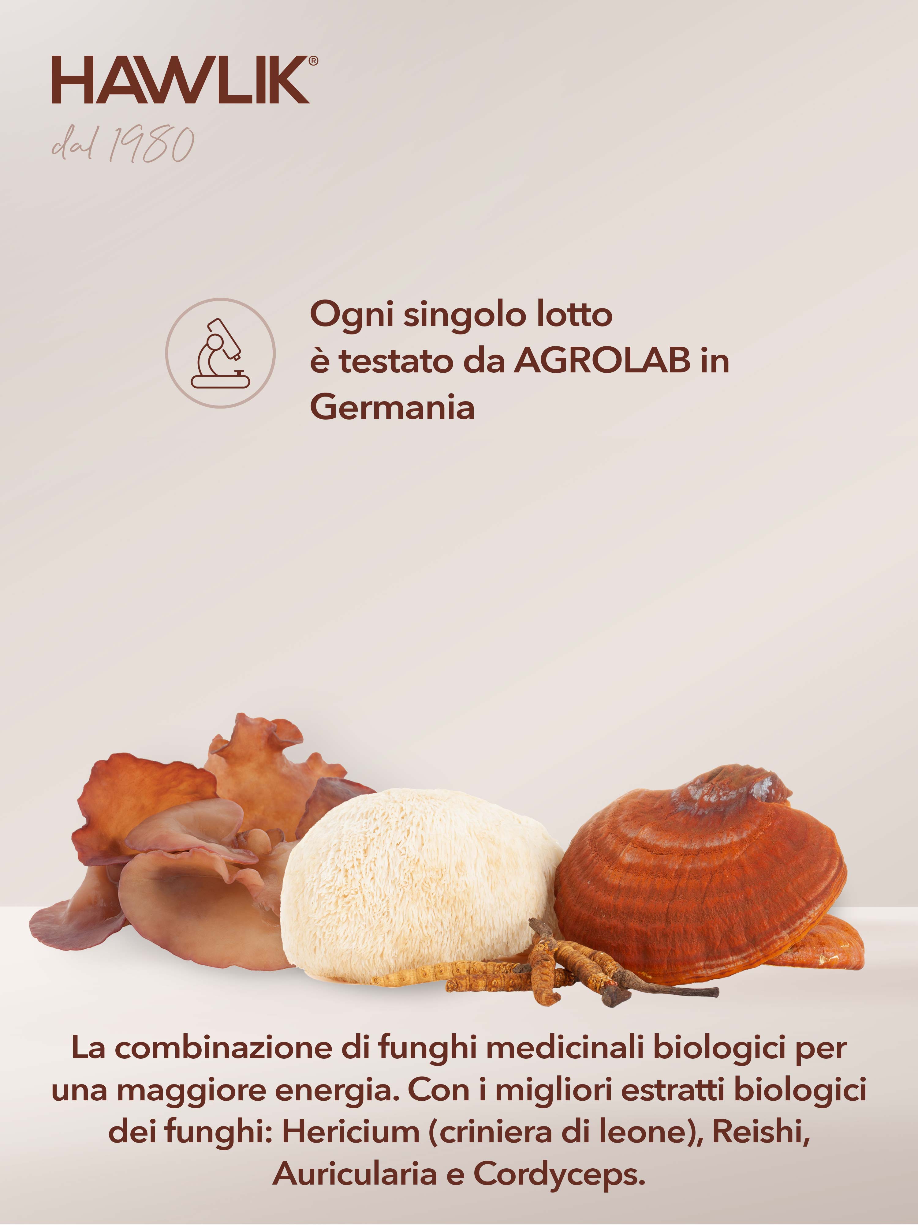 HAWLIK Energia miscele di funghi