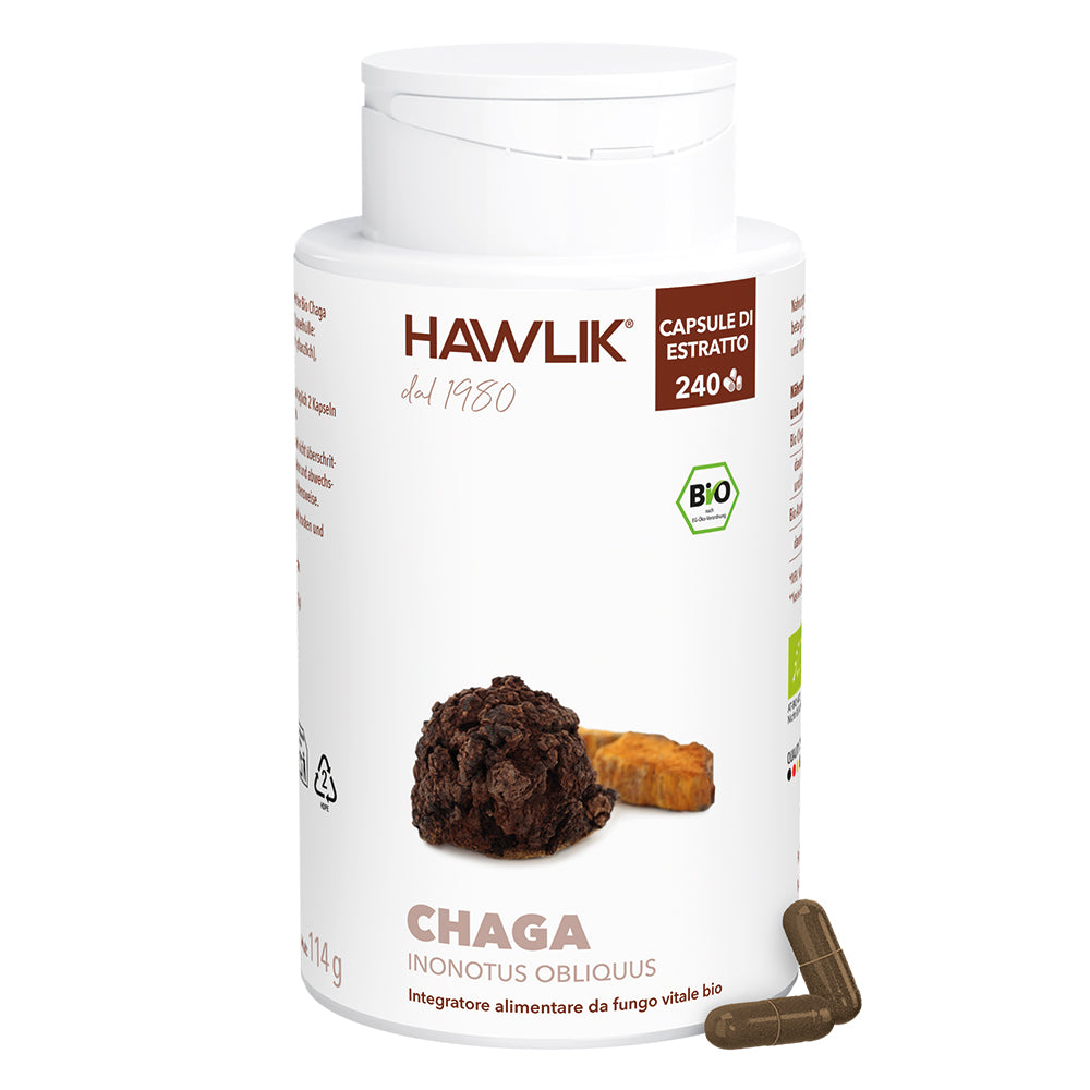 HAWLIK Chaga biologico estratto in capsule