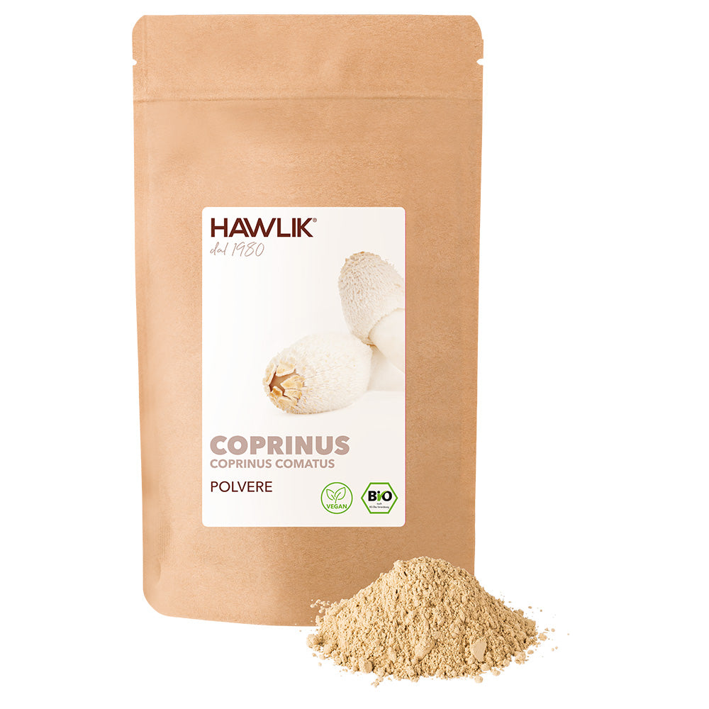 HAWLIK polvere di coprinus biologico