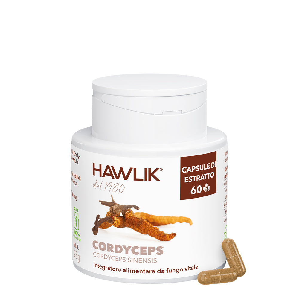 HAWLIK Cordyceps CS-4 estratto in capsule