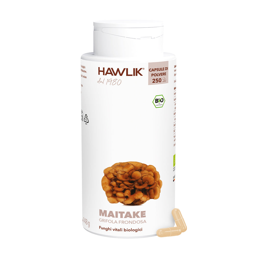 HAWLIK Maitake biologico capsule in polvere