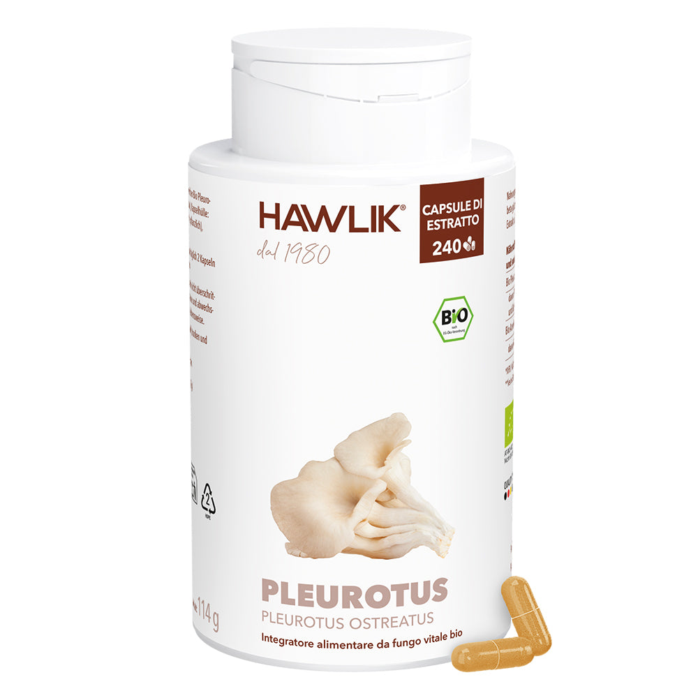 Funghi medicinali biologico Pleurotus