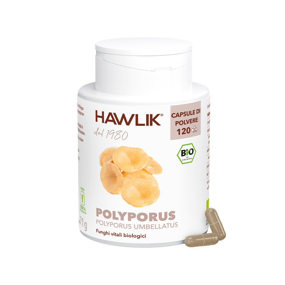 HAWLIK Polyporus biologico capsule in polvere