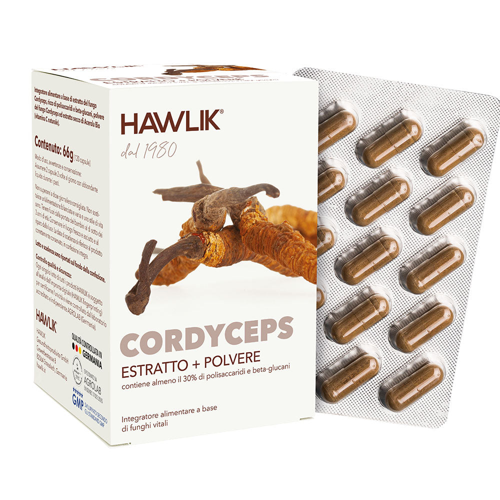 HAWLIK Cordyceps CS-4 estratto + polvere in c