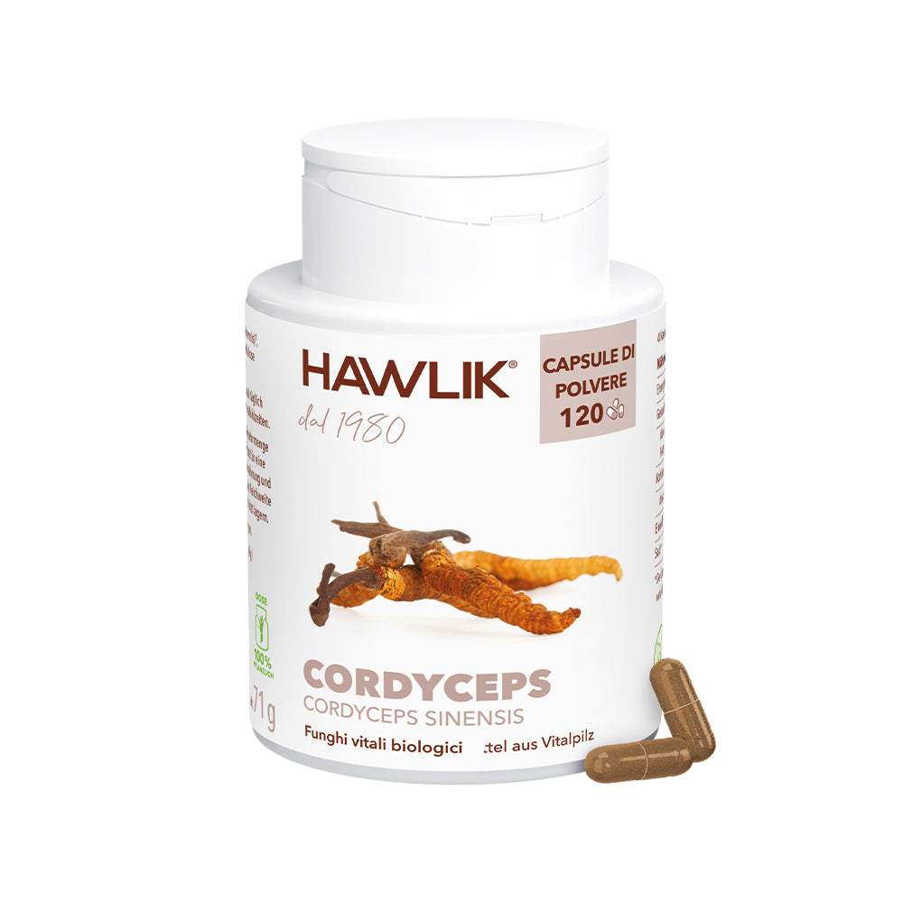 HAWLIK Cordyceps capsule in polvere