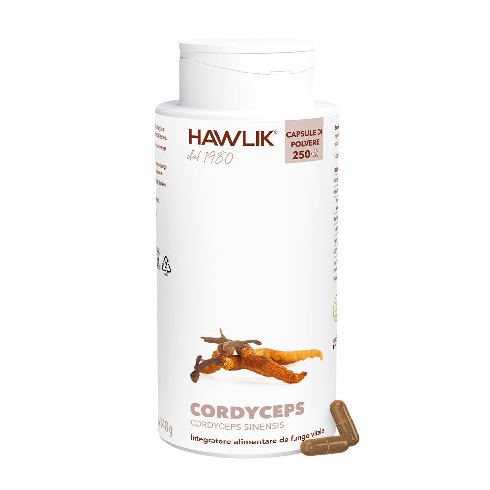 HAWLIK Cordyceps capsule in polvere