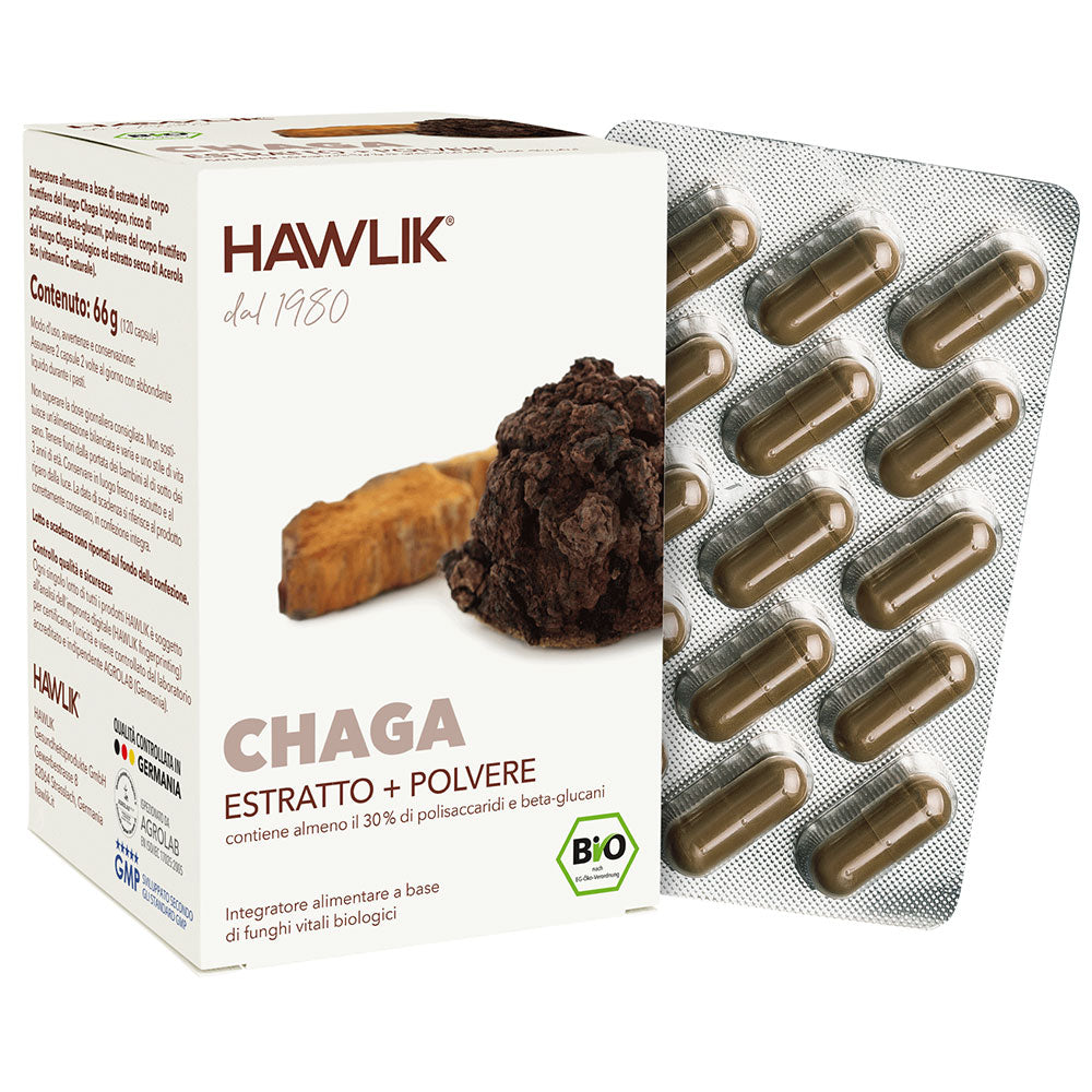 HAWLIK Chaga biologico estratto + polvere