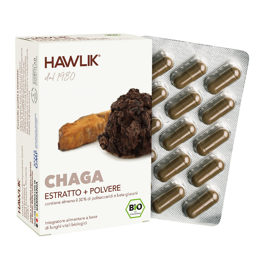 HAWLIK Chaga biologico estratto + polvere