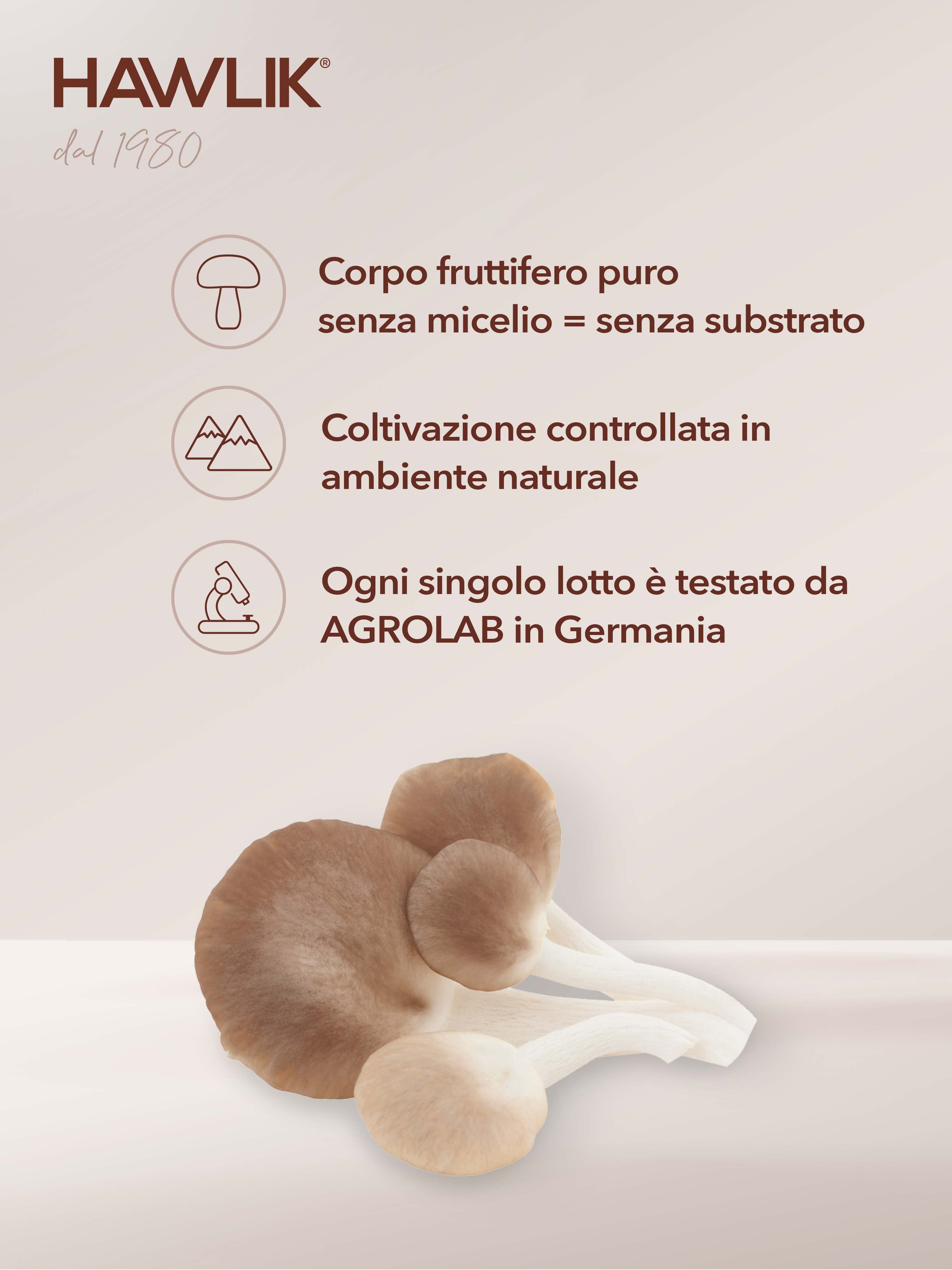 HAWLIK Pleurotus biologico estratto in capsule