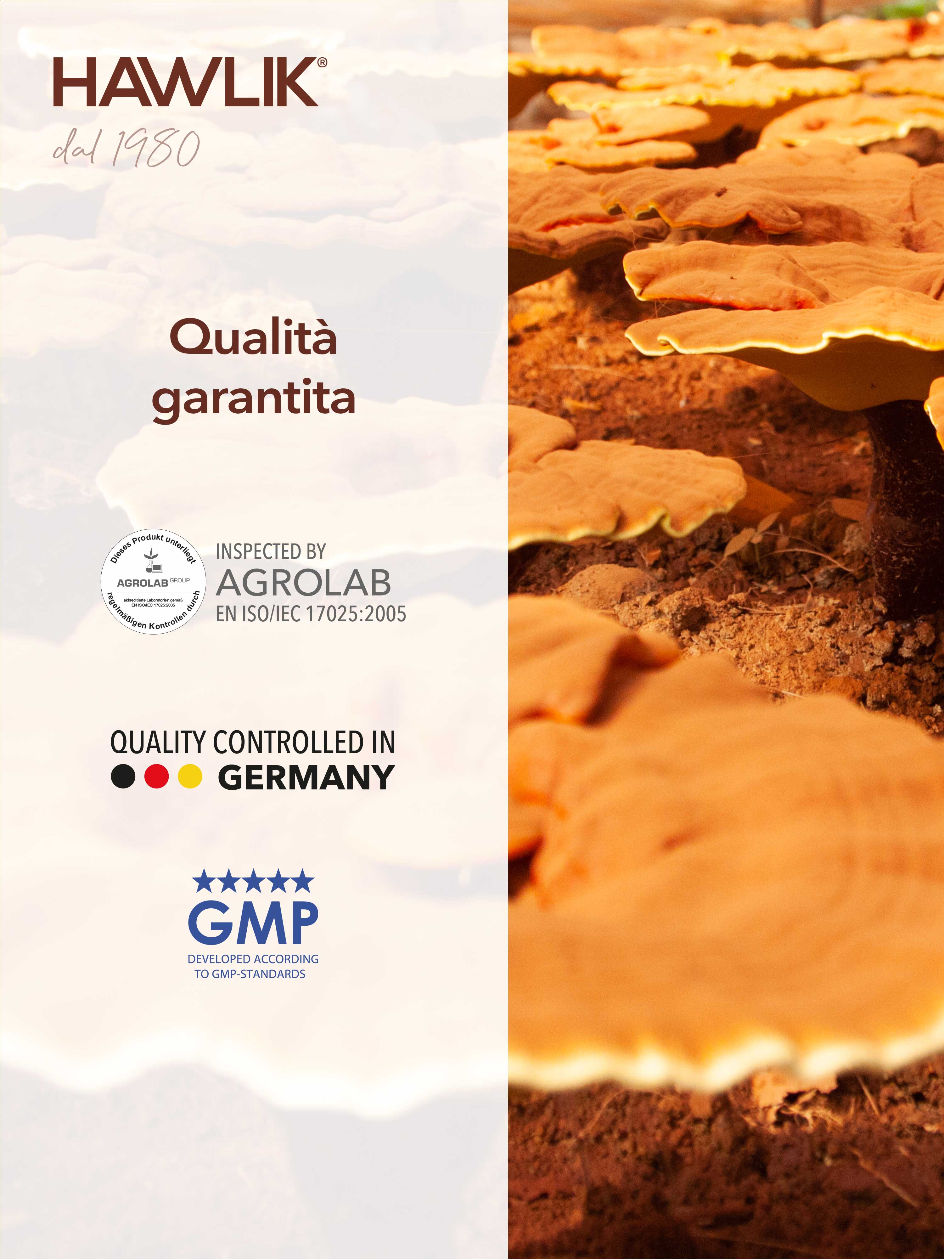 HAWLIK Maitake biologico estratto in capsule