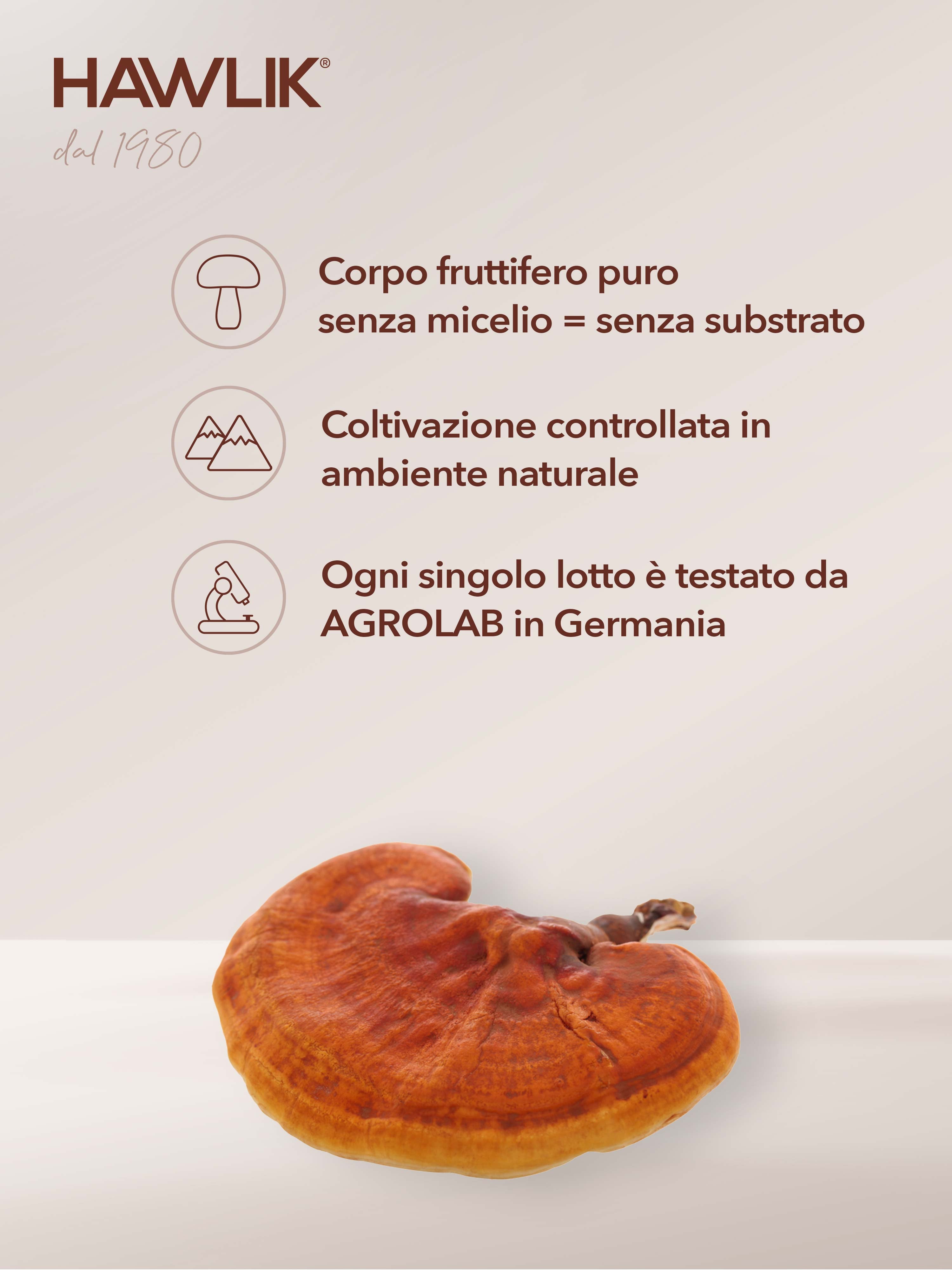 HAWLIK Reishi biologico estratto in capsule