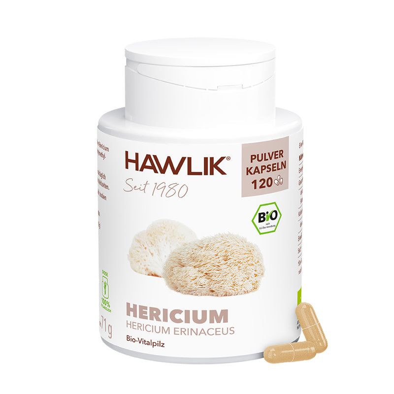 Hericium 1