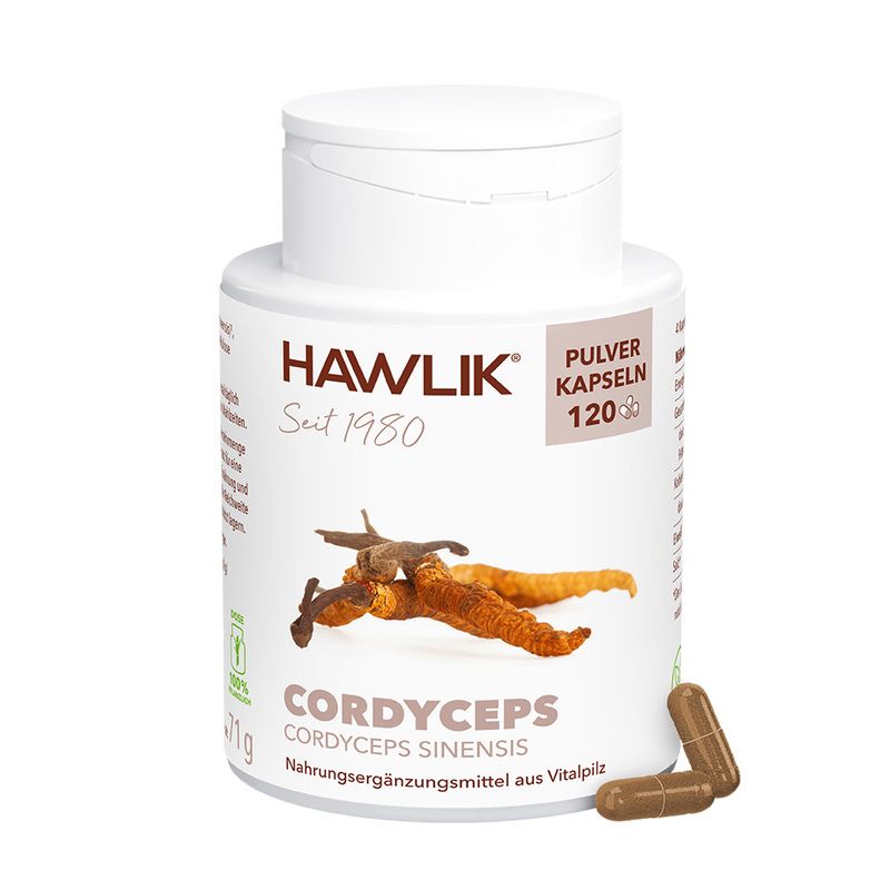 Cordyceps 1